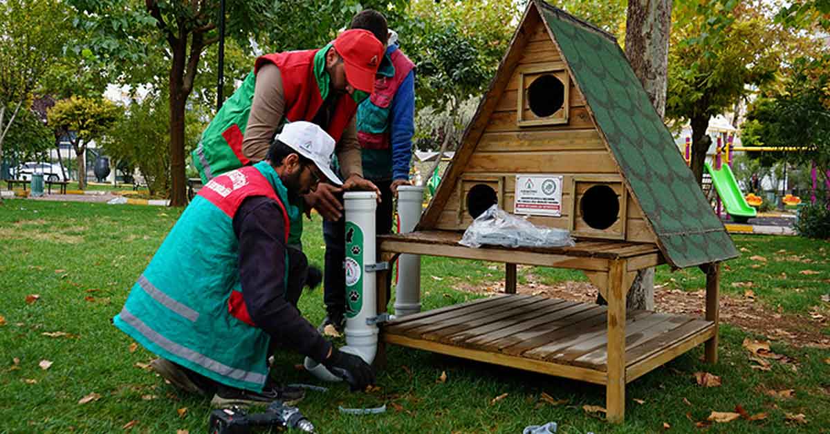 Karaköprü'de Parklara Kedi Evleri Yerleştirildi 10 Karaköprü'de Parklara Kedi Evleri Yerleştirildi
