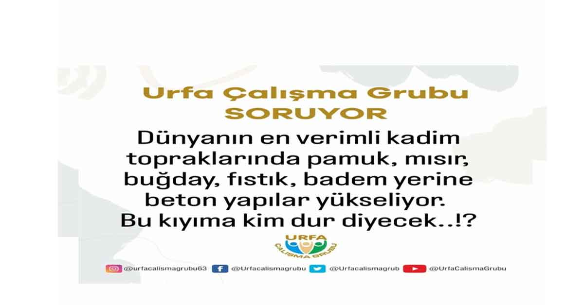 Tarla Manzaralı Villaların İnşası Son Hız Devam Etmekte!!… 9 Tarla Manzaralı Villaların İnşası Son Hız Devam Etmekte!!…