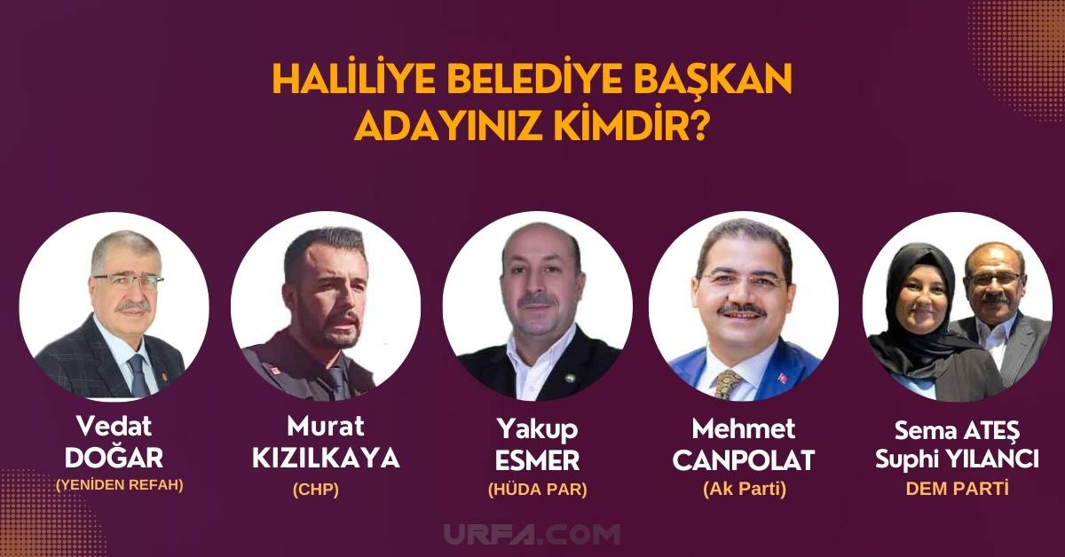 Haliliye Belediye Başkan Anketi