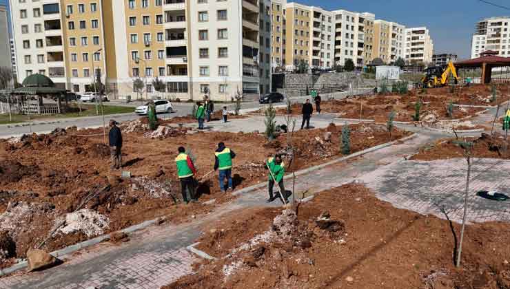 Seyrantepe'de Yeşil Alan İçin Çalışmalar Sürüyor 8 Seyrantepe'de Yeşil Alan İçin Çalışmalar Sürüyor